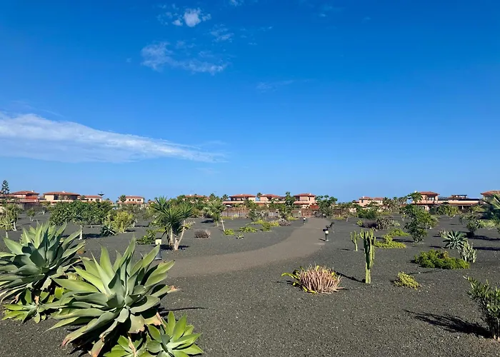 Fuerteventura Origo Mare Lajares